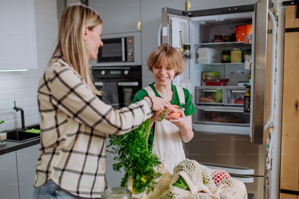 Une mère déballe des aliments locaux dans un emballage zéro déchet d’un sac avec l’aide de sa fille dans la cuisine à la maison.