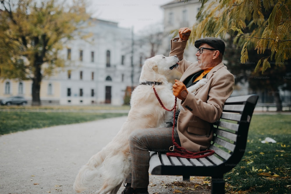 A happy senior man sitting on bench and and training his dog outdoors in city.
