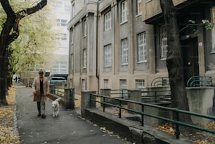 A distant view of elegant senior man walking his dog outdoors in city in winter.