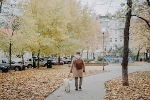 A rear view of senior man walking his dog outdoors in park on autumn day.