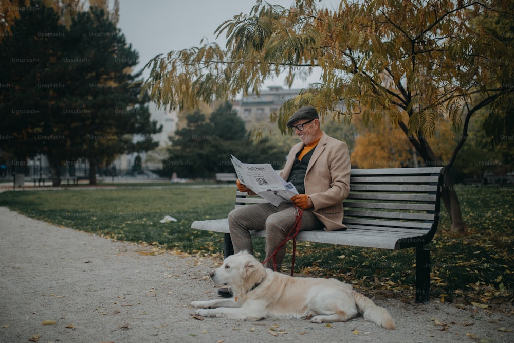 A happy senior man sitting on bench and reading newspaper during dog walk outdoors in park in city.