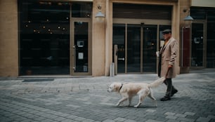 Uma vista lateral do elegante homem idoso com café para levar embora passeando com seu cachorro ao ar livre na cidade no inverno.