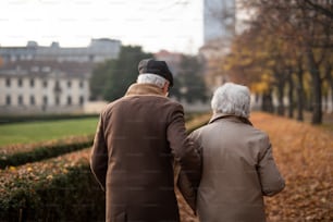 A rear view of senior couple on walk outdoors in park in autumn.