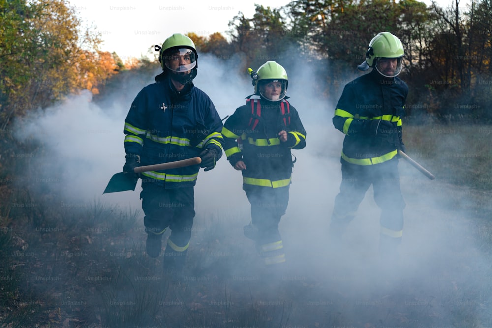 Hombres y mujeres de bomberos en acción, corriendo a través del humo para detener el fuego en el bosque.