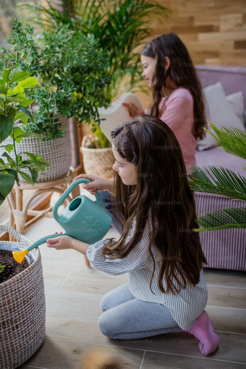 Happy little sisters watering plants indoors in a conservatory.