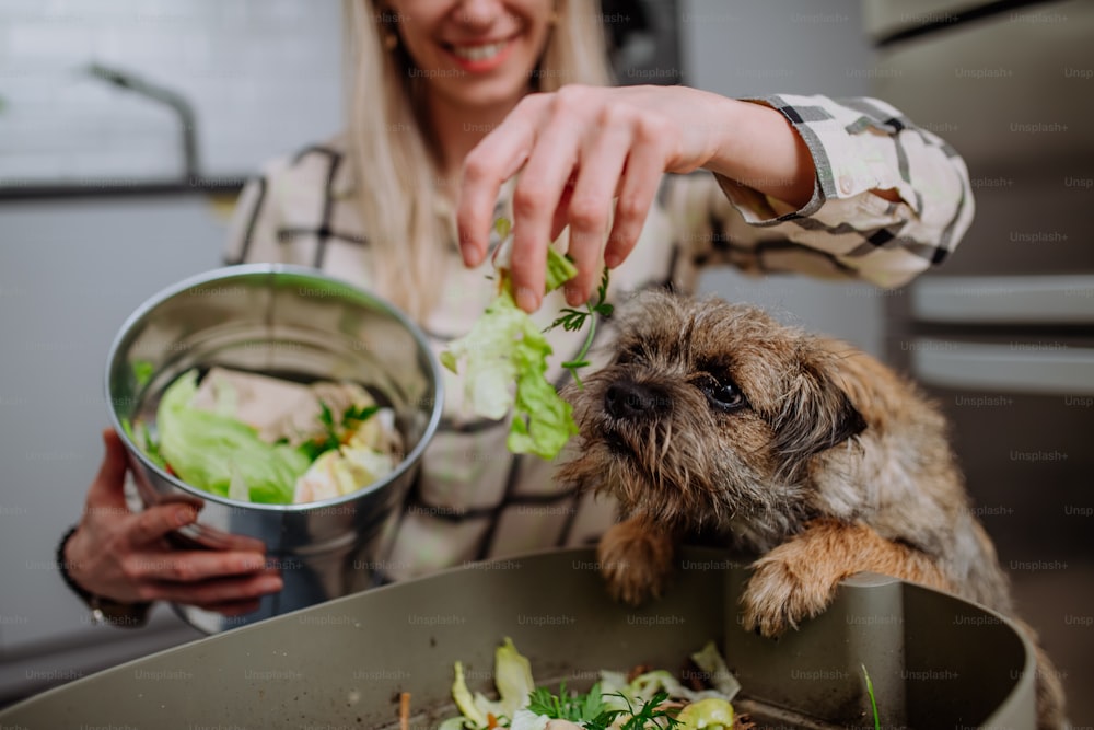 Une femme jetant des boutures de légumes dans un seau à compost dans la cuisine et nourrissant un chien.