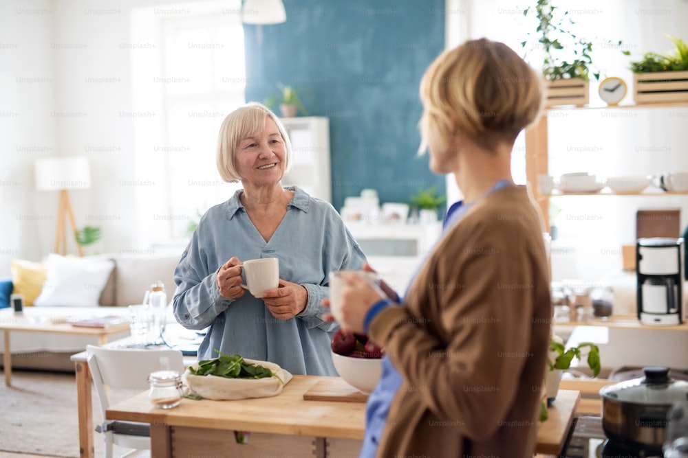 Happy senior woman with caregiver or healthcare worker indoors, preparing food.