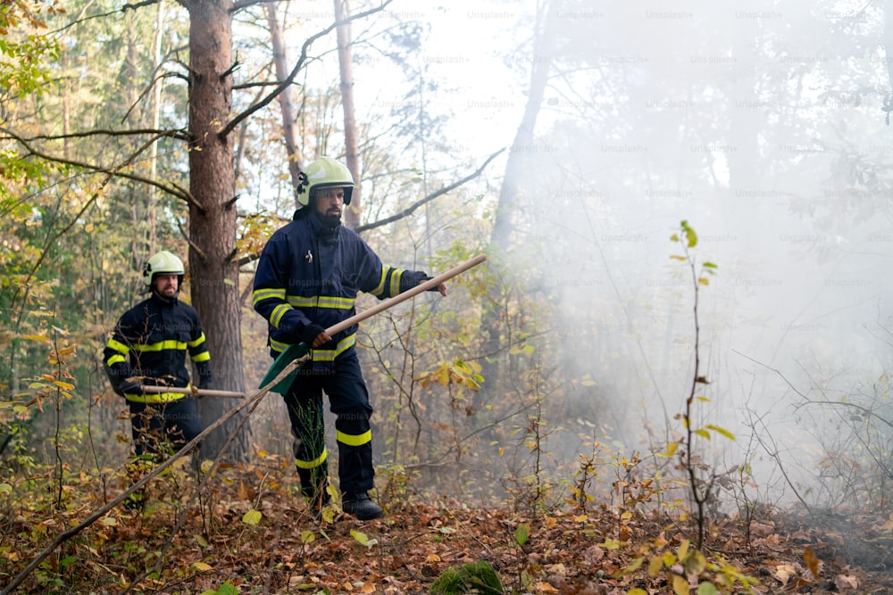 Firefighters men at action, running through the smoke with shovels to stop fire in forest.