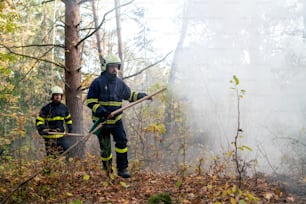 Firefighters men at action, running through the smoke with shovels to stop fire in forest.