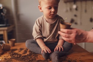 A little boy with mother planting seedlings together at home.