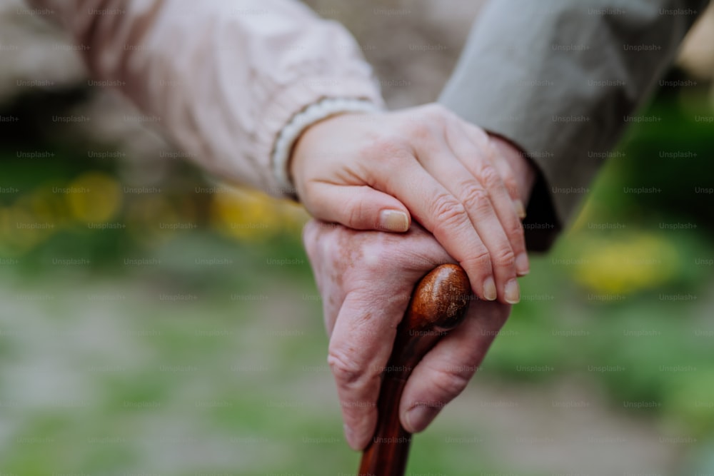A close-up of adult daughter holding her senior father's hand outdoors on a walk in park.