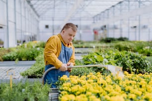 Un giovane dipendente felice con la sindrome di Down che lavora in un centro di giardinaggio, innaffiando le piante con un soffione e un tubo.