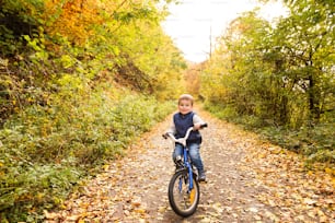 Cute little boy in warm clothes outside in a park on a sunny day, cycling outside in autumn nature.