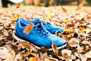 Blue trainers on colorful leaves on the ground. Autumn nature.