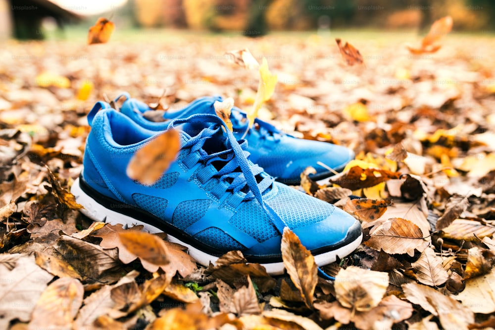 Scarpe da ginnastica blu su foglie colorate a terra. Natura autunnale.
