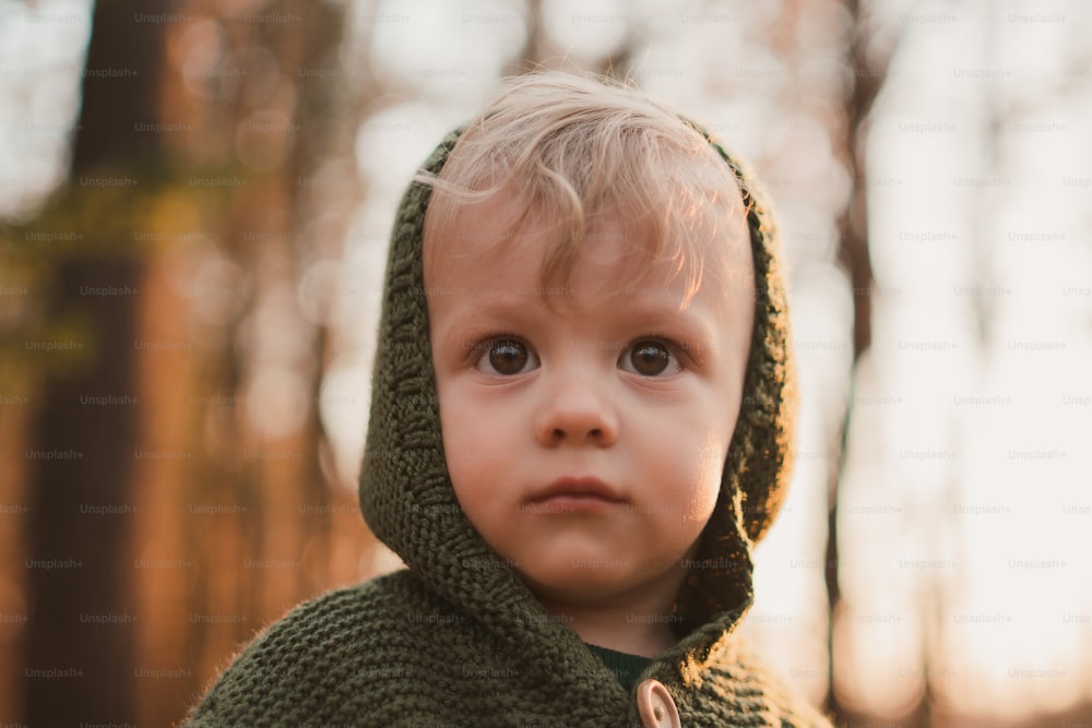 Um close-up de garotinho bonito com capuz de malha na floresta, conceito de outono.