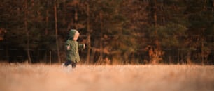 Um garotinho fofo de suéter de malha em caminhada na natureza do outono, amplo, espaço de cópia.