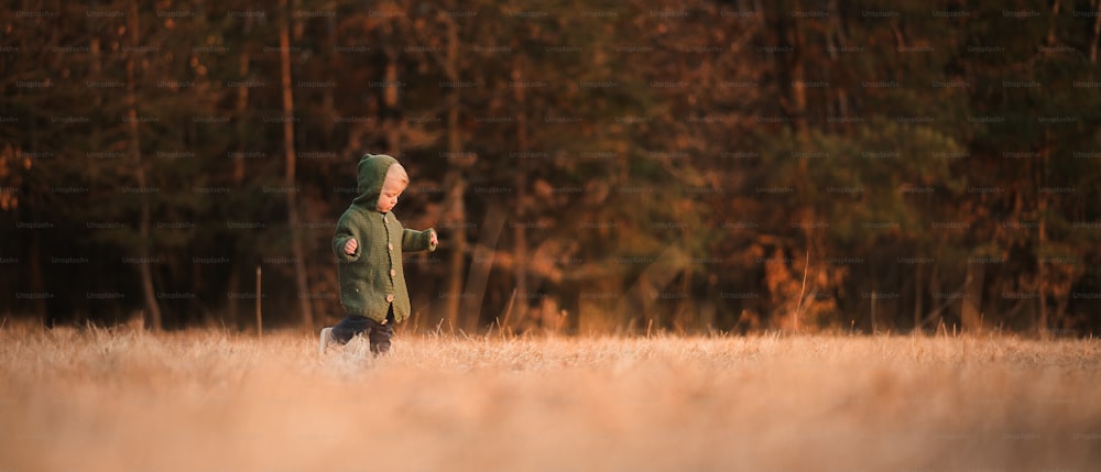 A cute little boy in knitted sweater on walk in autumn nature, wide, copy space.