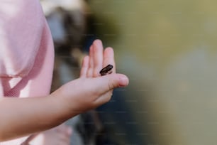 작은 야생 개구리를 안고 있는 어린 소녀의 클로즈업. 자연에서 동물을 관찰하고 탐험하는 호기심 많은 아이.