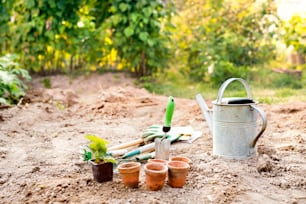 Garden tools, flower pots, gloves, plants and watering can in the garden.