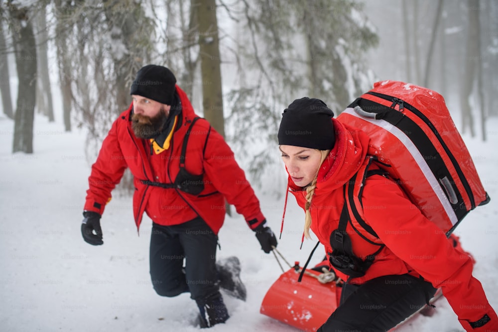 Paramédicos do serviço de resgate de montanha realizam operações ao ar livre no inverno na floresta, puxando pessoas feridas em maca.
