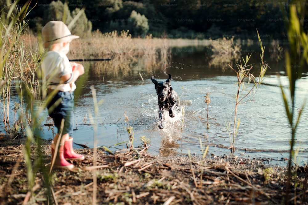 A small toddler boy with a hat and a dog standing by a lake at sunset. Copy space.