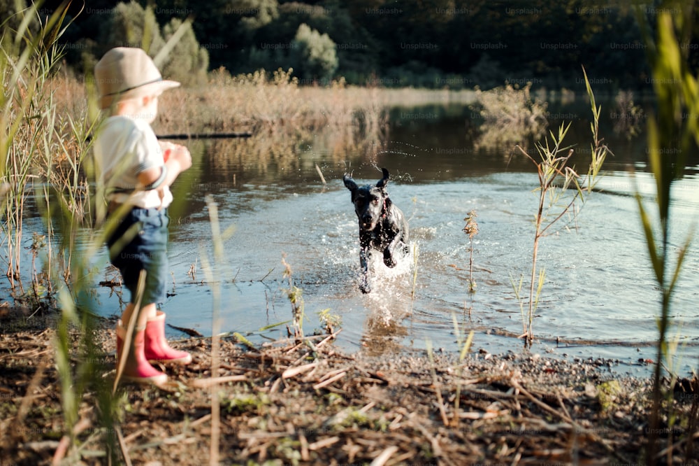 Un piccolo bambino con un cappello e un cane in piedi vicino a un lago al tramonto. Copia spazio.