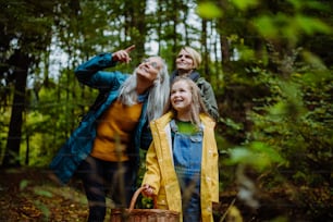 A small girl with mother and grandmother looking up while walking outoors in forest.