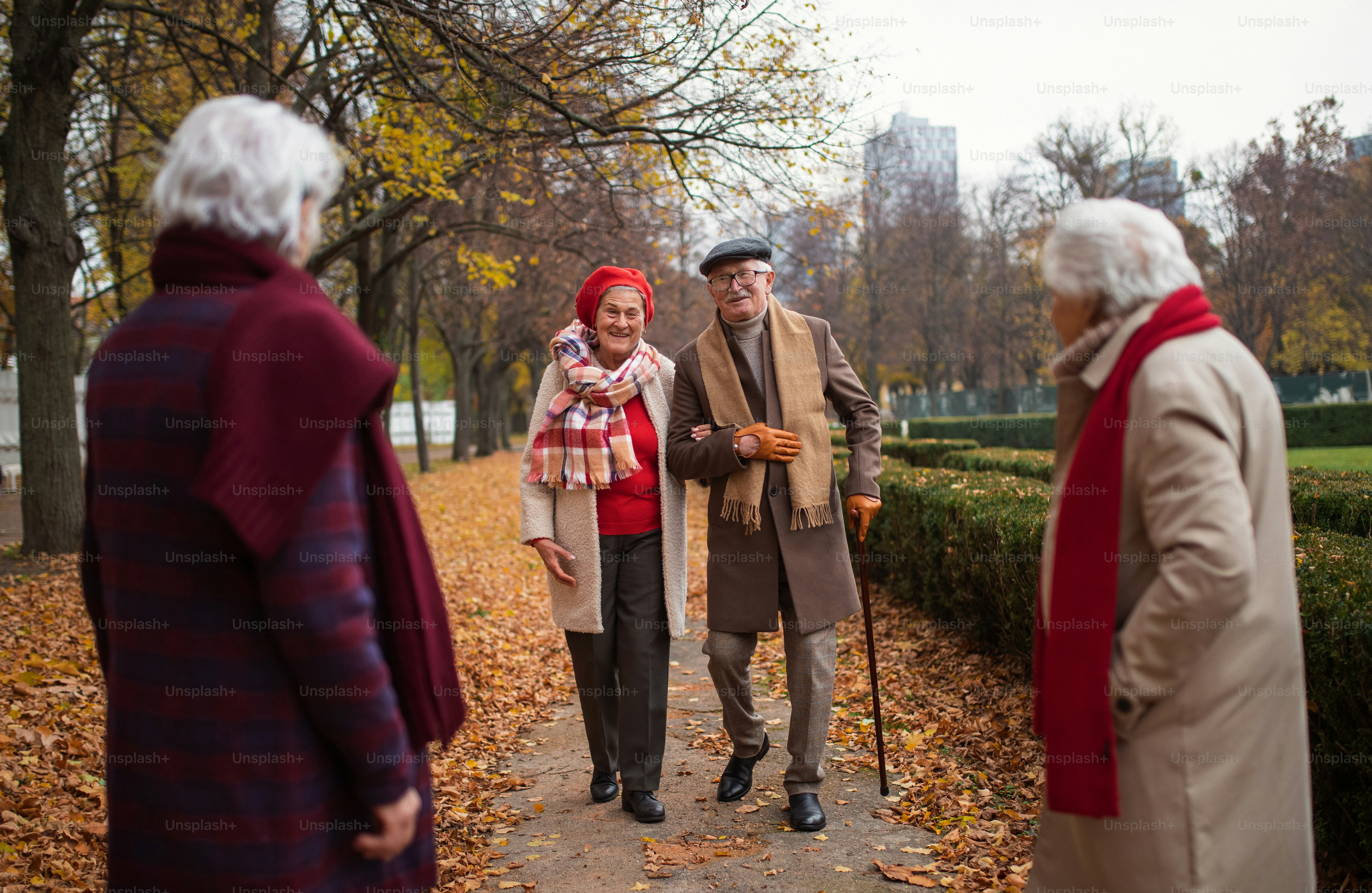 Una pareja de ancianos feliz y elegante que se reúne con amigos en un paseo al aire libre en el parque en otoño.