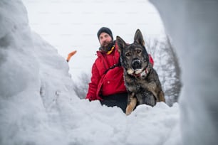 冬に森の中で屋外で雪を掘りながら活動する犬を連れた山岳救助隊員のローアングルビュー。