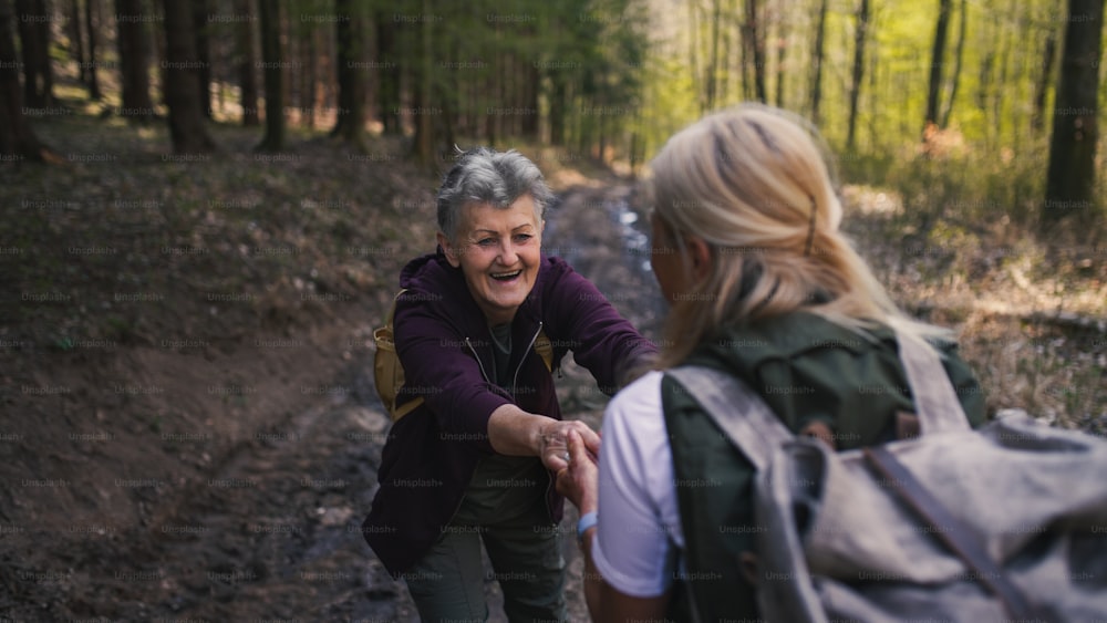 Happy senior women hikers outdoors walking in forest in nature, helping each other.