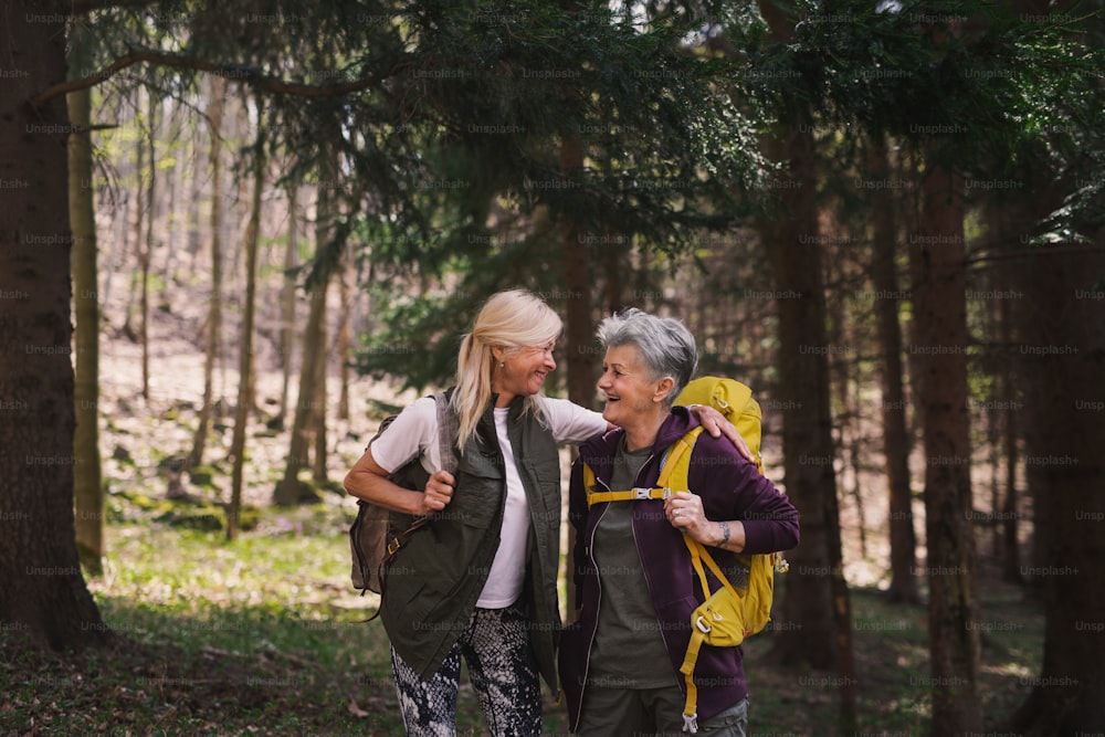 Happy senior women hikers outdoors walking in forest in nature, talking.