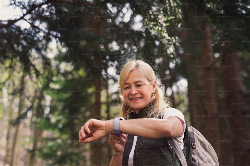 A senior woman hiker outdoors walking in forest in nature, using smartwatch.