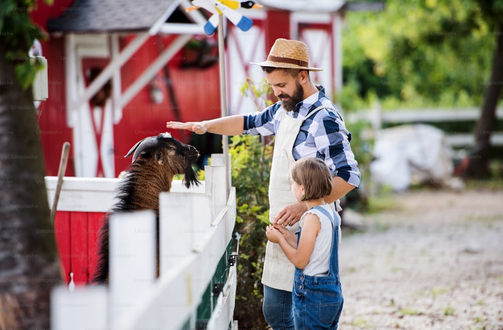 Um pai com filha pequena ao ar livre na fazenda da família, alimentando animais de cabra.