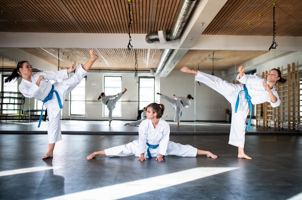 A group of young women practising karate indoors in gym.