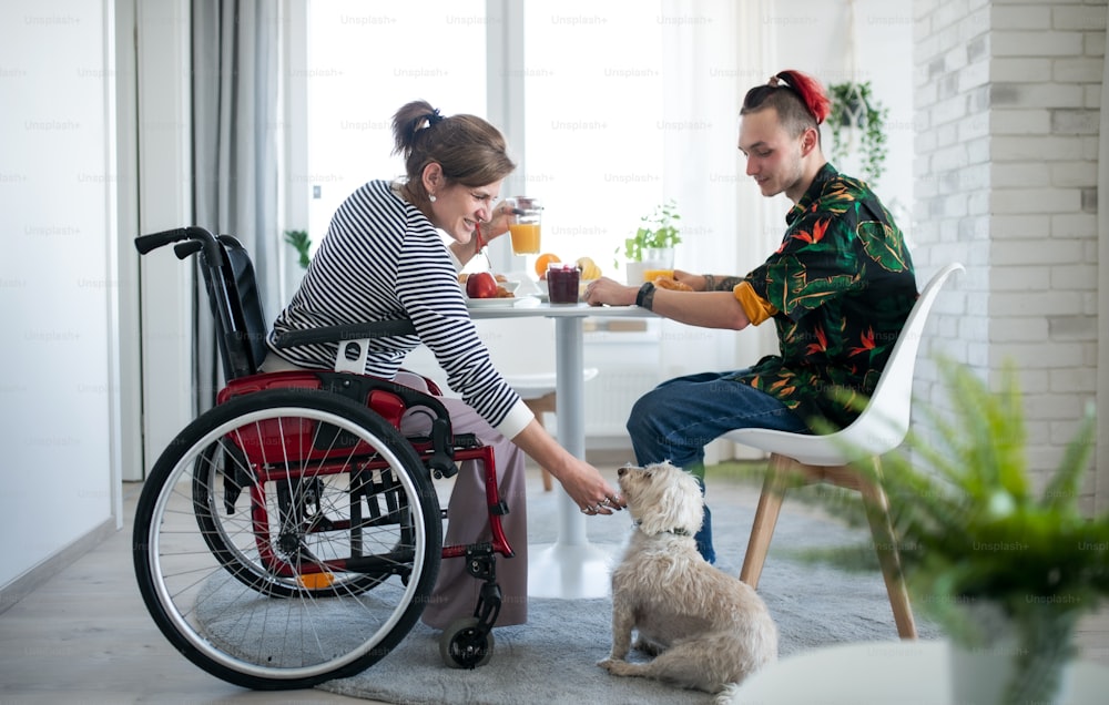 Portrait of disabled mature woman in wheelchair sitting at the table with a son and dog indoors at home, eating.