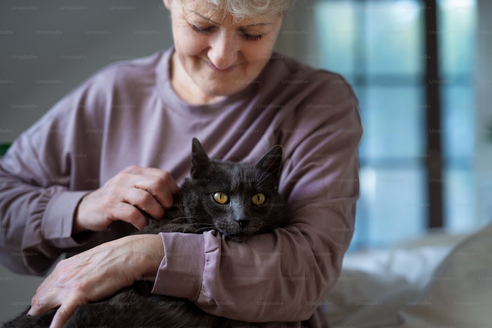 Portriat einer glücklichen älteren Frau mit Katze, die zu Hause im Bett ruht.