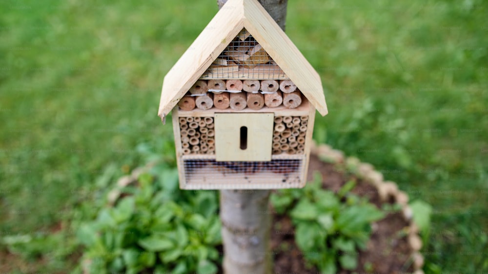 Front view of insect hotel on tree in garden, sustainable lifestyle.