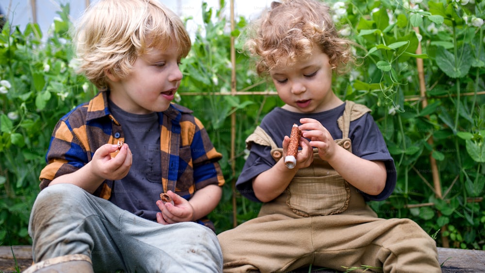 Retrato de dos niños pequeños en el huerto, concepto de estilo de vida sostenible.