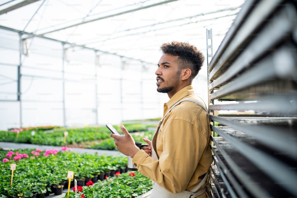 Young african-american man with smartphone working in greenhouse, having a coffee break.