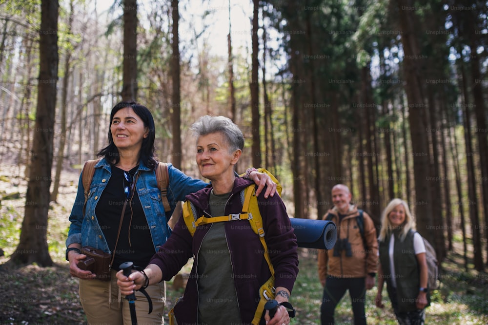 Retrato de un grupo de excursionistas mayores al aire libre en el bosque en la naturaleza, caminando.