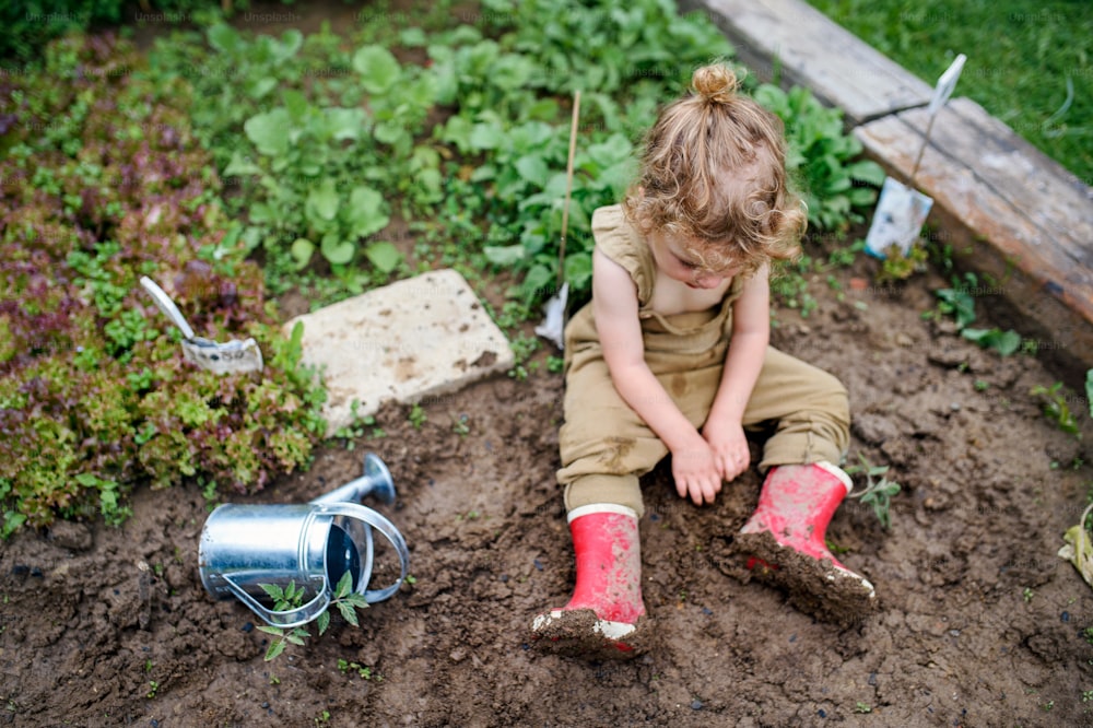 채소밭에서 일하는 작은 소녀의 상위 뷰, 지속 가능한 라이프스타일 개념.