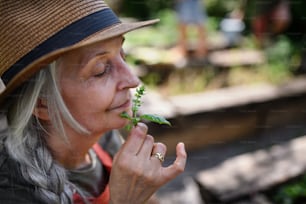 Eine Nahaufnahme einer älteren Bäuerin mit geschlossenen Augen, die ein Pflanzenkraut im Freien auf der Gemeinschaftsfarm riecht.