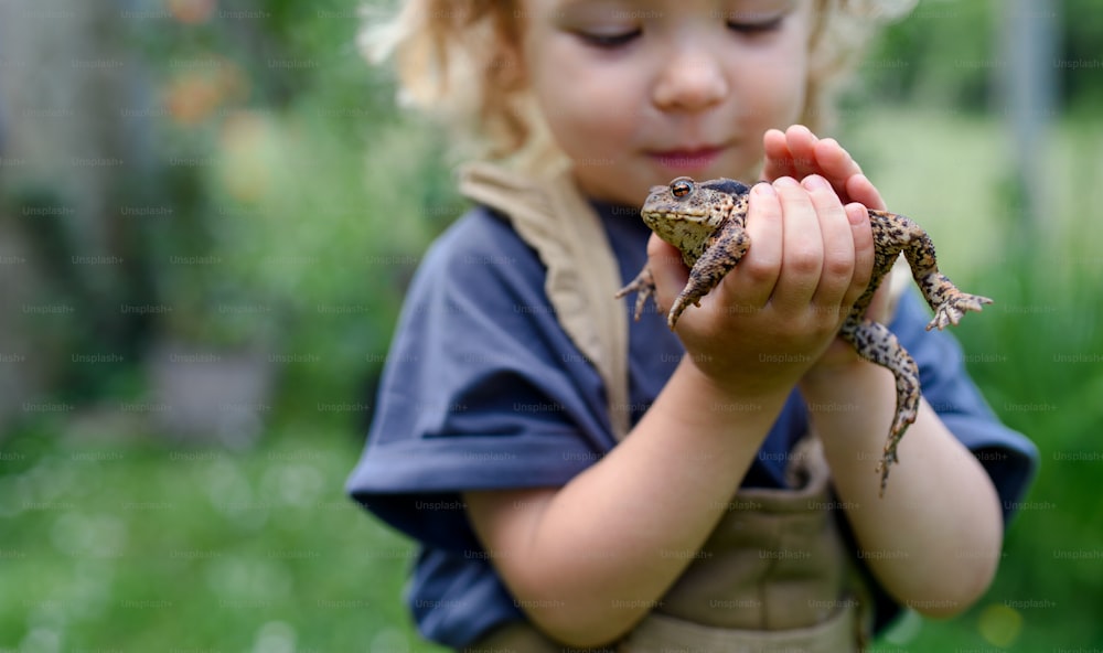 Close up portrait of happy small girl holding a frog outdoors in summer.