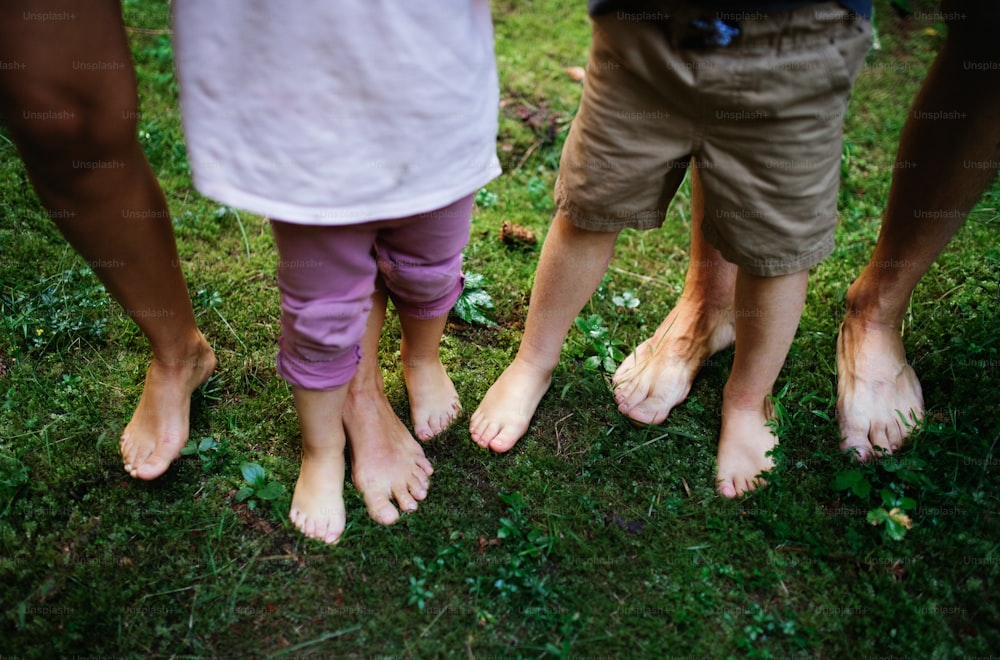 Bare feet of family with small children standing barefoot outdoors in nature, grounding and forest bathing concept.