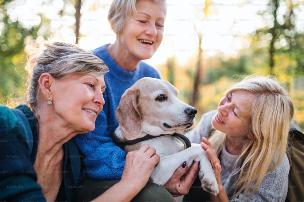 Senior women friends with dog on walk outdoors in forest, resting.