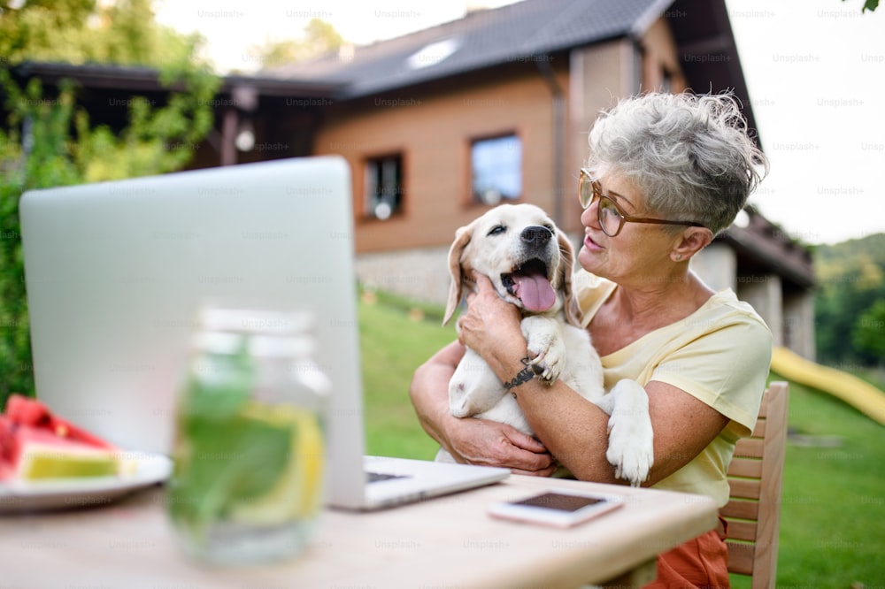 Happy senior woman with laptop and dog working outdoors in garden, green home office concept.