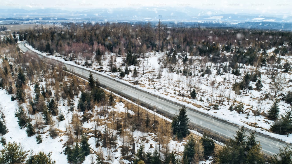 Aerial view of road and coniferous trees in forest in winter nature.