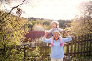 Senior grandmother with toddler granddaughter standing in nature in spring, giving piggyback ride.