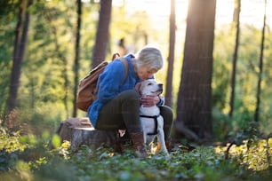 A happy senior woman with dog on a walk outdoors in forest, resting.